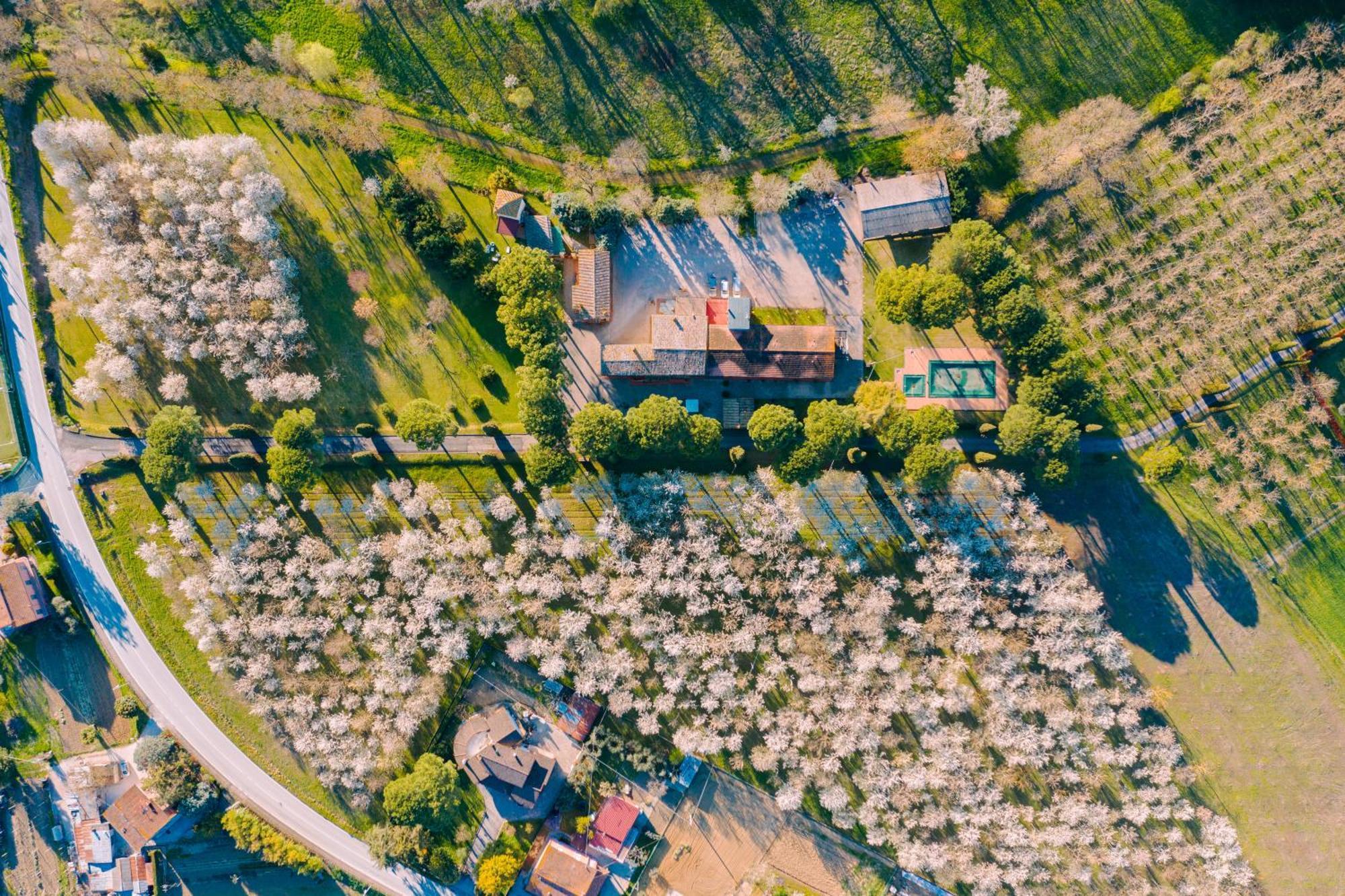 Hotel La Torretta Assisi Exteriér fotografie